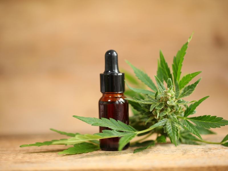 CBD na Psiquiatria: Para Quais Transtornos o Tratamento com Canabidiol É Indicado?